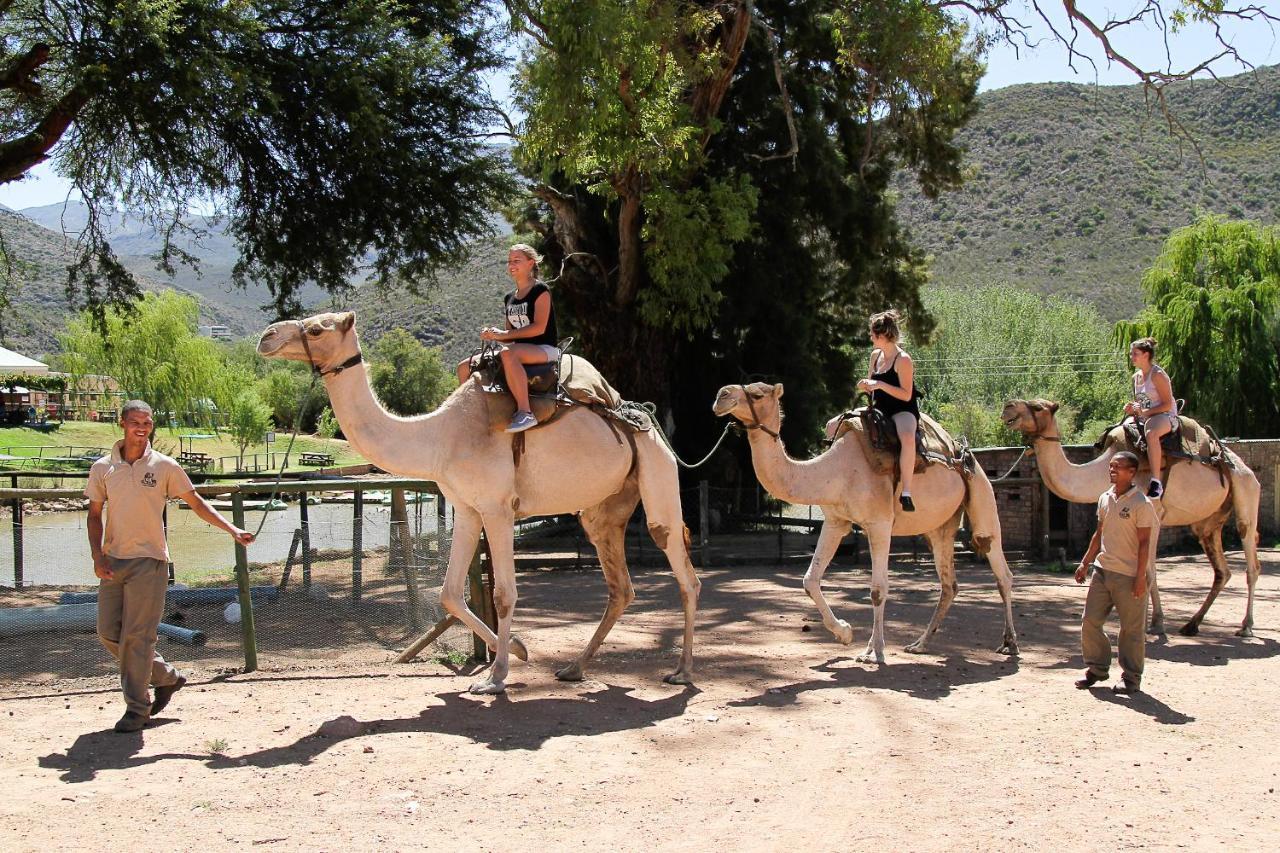 אאודטסהורן Wilgewandel Holiday Farm & Day Restaurant מראה חיצוני תמונה
