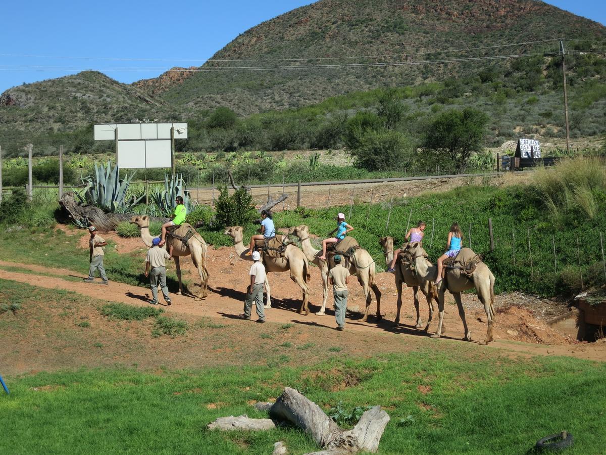 אאודטסהורן Wilgewandel Holiday Farm & Day Restaurant מראה חיצוני תמונה