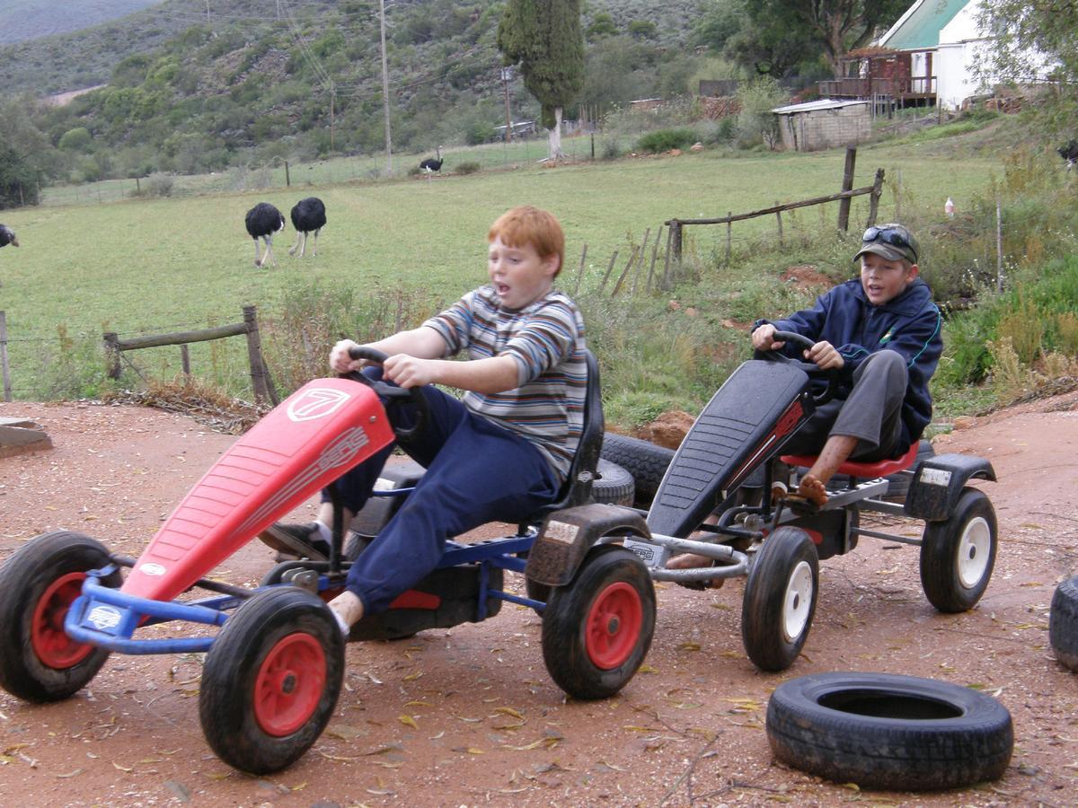 אאודטסהורן Wilgewandel Holiday Farm & Day Restaurant מראה חיצוני תמונה